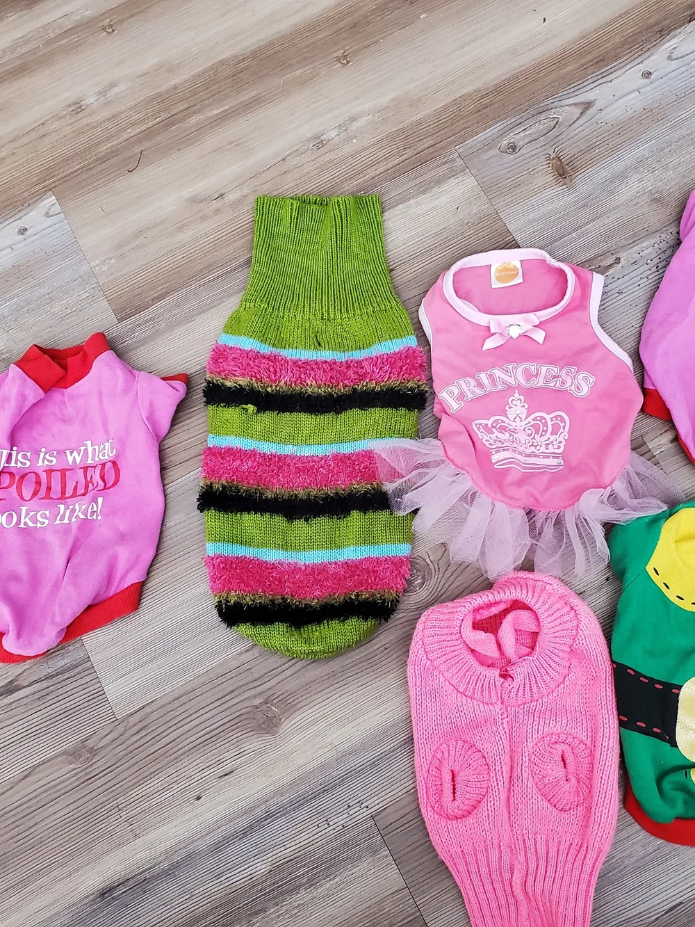 Dog clothes 8 outfits Christmas Princess Halloween This Is What Spoiled Looks